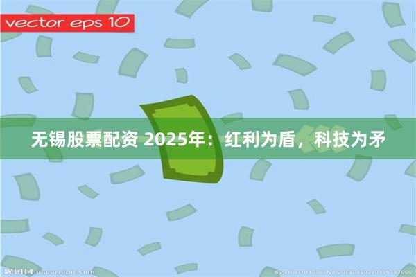 无锡股票配资 2025年：红利为盾，科技为矛