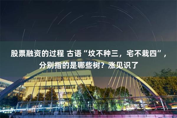 股票融资的过程 古语“坟不种三，宅不栽四”，分别指的是哪些树？涨见识了