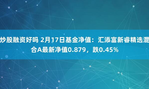 炒股融资好吗 2月17日基金净值：汇添富新睿精选混合A最新净值0.879，跌0.45%