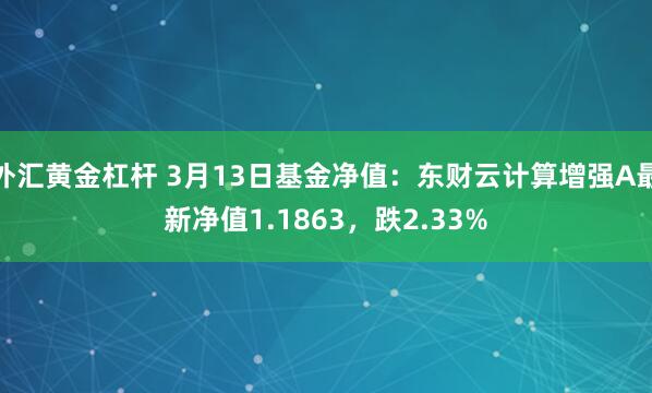 外汇黄金杠杆 3月13日基金净值：东财云计算增强A最新净值1.1863，跌2.33%